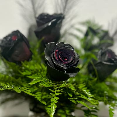 Black roses arranged with bright green fern foliage