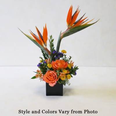 Tropical flower arrangement with orange blooms in a black vase