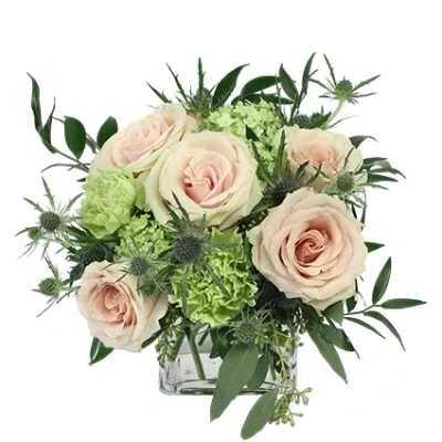 Light Pink Simplicity Rose Arrangement