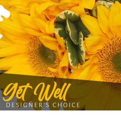 Get Well Bouquet Designer's Choice