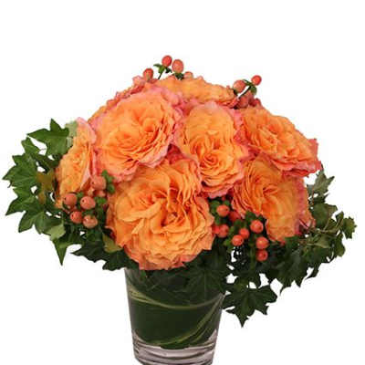 Flirty Free Spirit Rose Arrangement