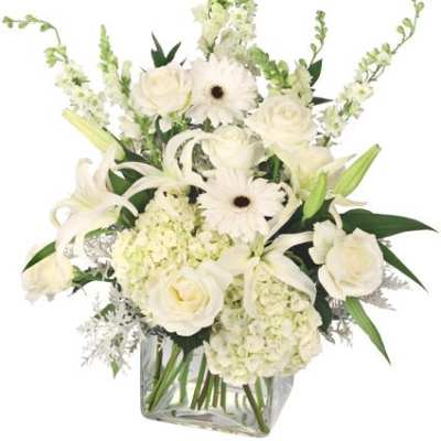 Pure Elegance Vase Arrangement