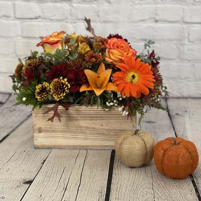 Woodland Harvest