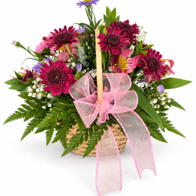 Basket arrangement of magenta daisies with pink and purple flowers and a pink ribbon