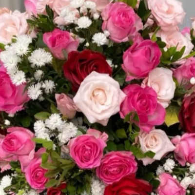 Bouquet of pink, red, and white roses with small white filler flowers