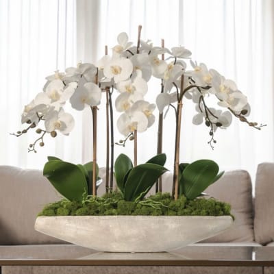 White orchids arranged in a low white bowl with moss