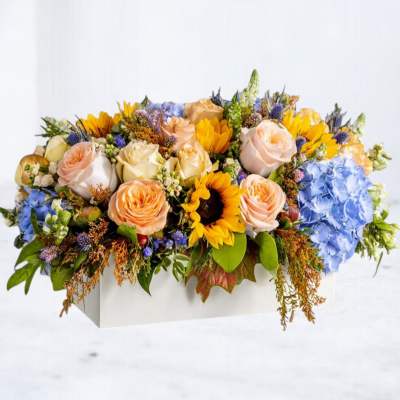 Mixed bouquet with roses, sunflowers, and blue hydrangeas in a white box