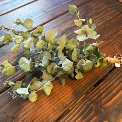 Bundle of eucalyptus stems tied together on a wooden surface