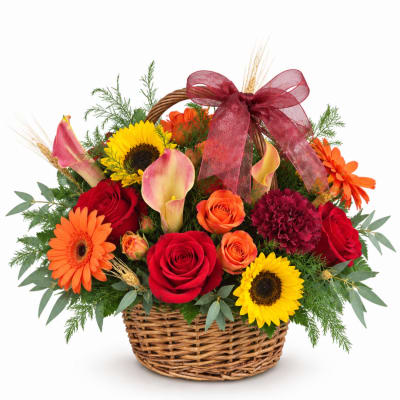 Basket arrangement with red roses, orange gerberas, sunflowers, and calla lilies