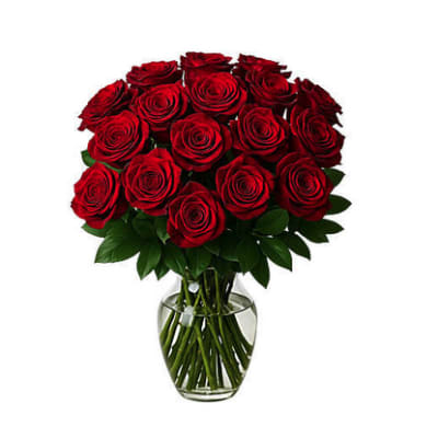 2 Dozen Fresh Red Roses
