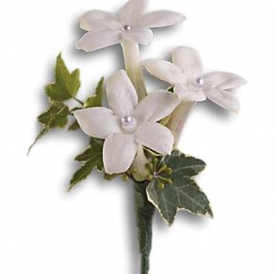 Small white floral boutonniere with ivy leaves