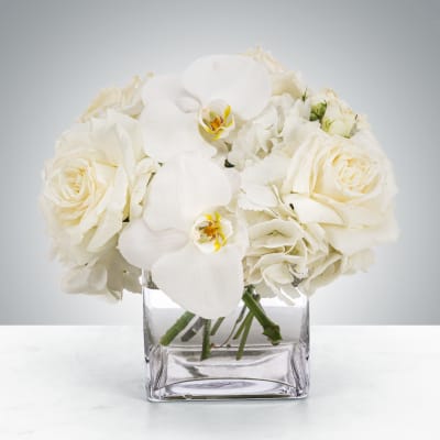 Linen by BloomNation™
