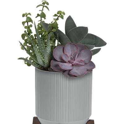 Succulent arrangement in a ribbed gray pot on a wooden stand