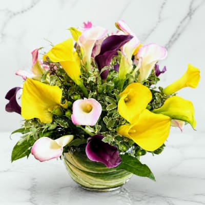 Bouquet of yellow, white, and purple calla lilies in a glass vase