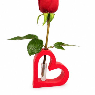 Single red rose in a heart-shaped holder