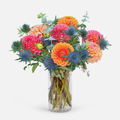 Colorful dahlia bouquet in a clear glass vase