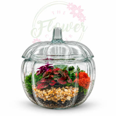 Glass pumpkin-shaped terrarium with colorful plants and pebbles