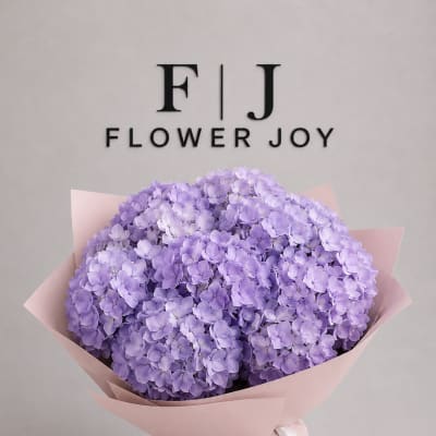 Lavender Hydrangea Grace