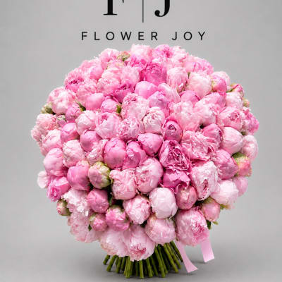 Pink Peony Dream