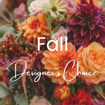 Fall Designer's Choice