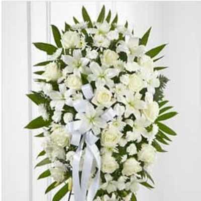 Exquisite Tribute (PP)