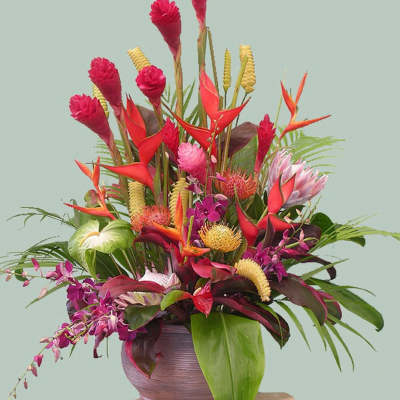 Tropical flower arrangement in a vase with red, pink, and orange blooms