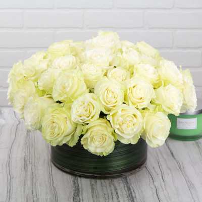 Heavenly white Roses (PP)