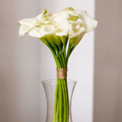 White calla lilies arranged in a clear glass vase