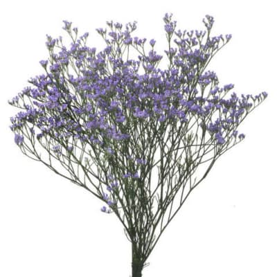 Bundle of small purple filler flowers on thin stems