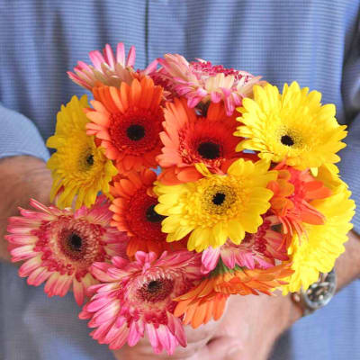 A hand holds a colorful bouquet of gerbera daisies.