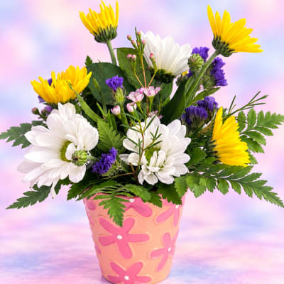 Colorful bouquet of white and yellow daisies in a pink flower pot