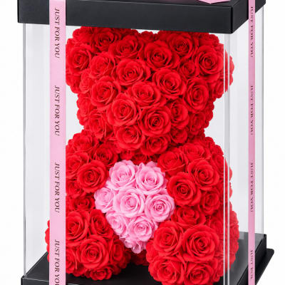 Red rose teddy bear in a clear display box with pink ribbon accents