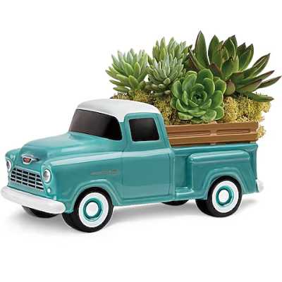 Succulent arrangement in a turquoise pickup truck planter
