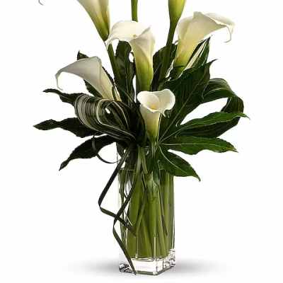My Fair Lady by Teleflora