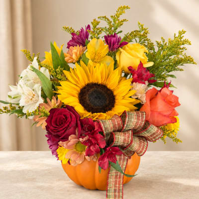 Mixed bouquet in a pumpkin container with a plaid ribbon