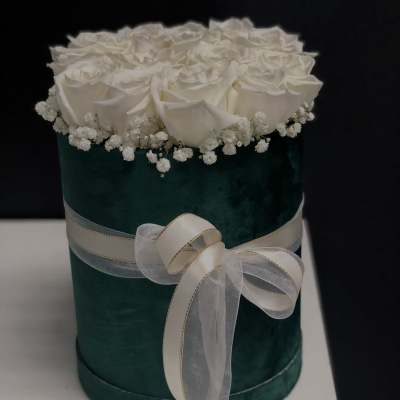 green elegant box