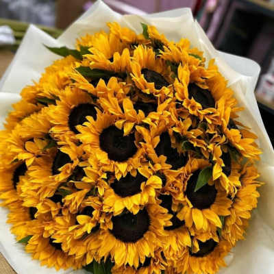 Sunny sunflowers
