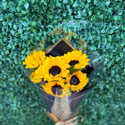 Wrapped bouquet of yellow sunflowers in a clear cone sleeve tied with a raffia bow