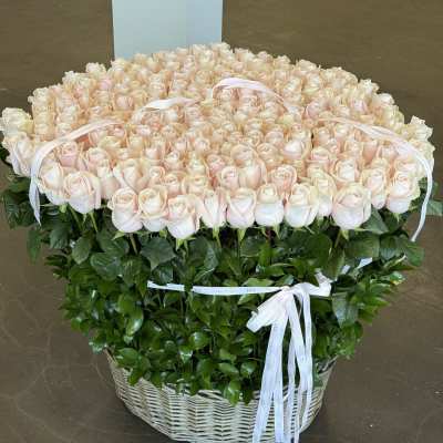 Large basket of pale pink roses with white ribbon