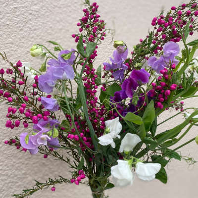 Whimsey blooms