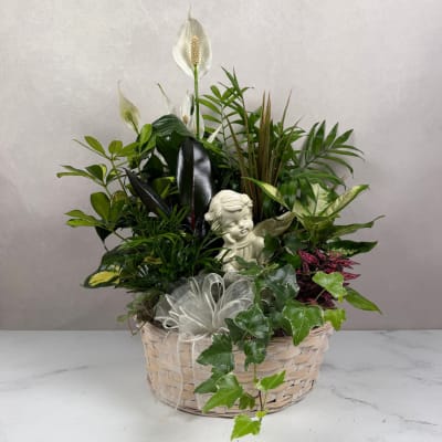 Mixed potted plants in a woven basket with a small angel figurine