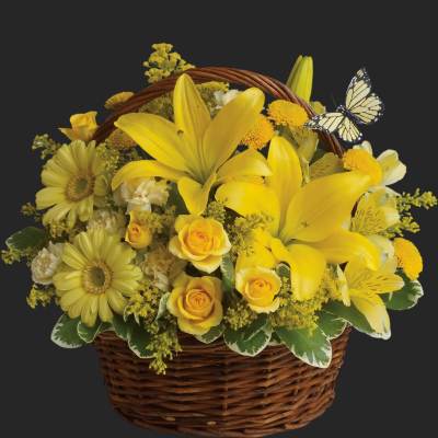 Basket Full of Wishes