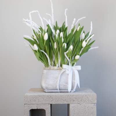 White tulips in a silver vase with a white ribbon