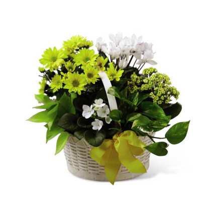The FTD A Bit of Sunshine Basket