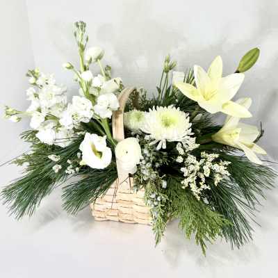 White flowers arranged in a wicker basket with pine greenery