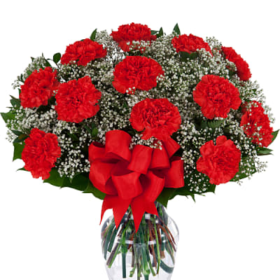 One Dozen Red Carnations