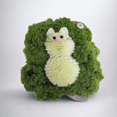 Cheerful Critter Cubes