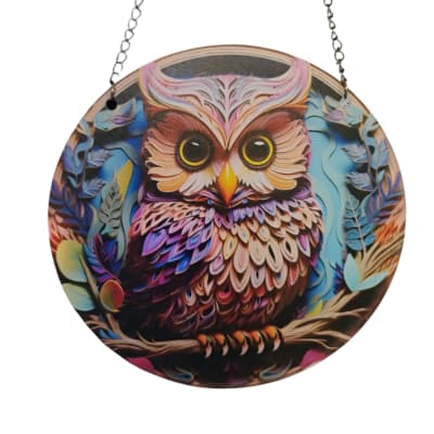 Round hanging owl wall plaque with colorful illustrated design