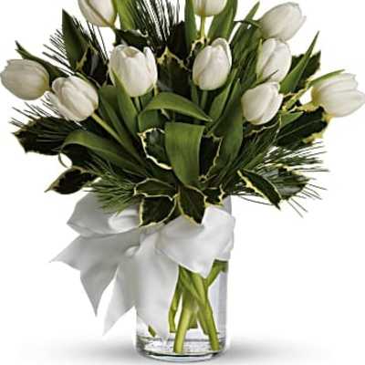 Tulips And Pine