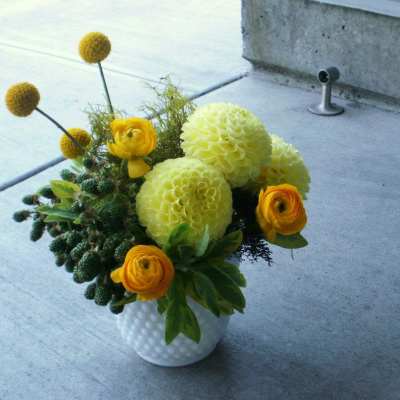 Low arrangement of yellow dahlias and ranunculus in a white vase on concrete